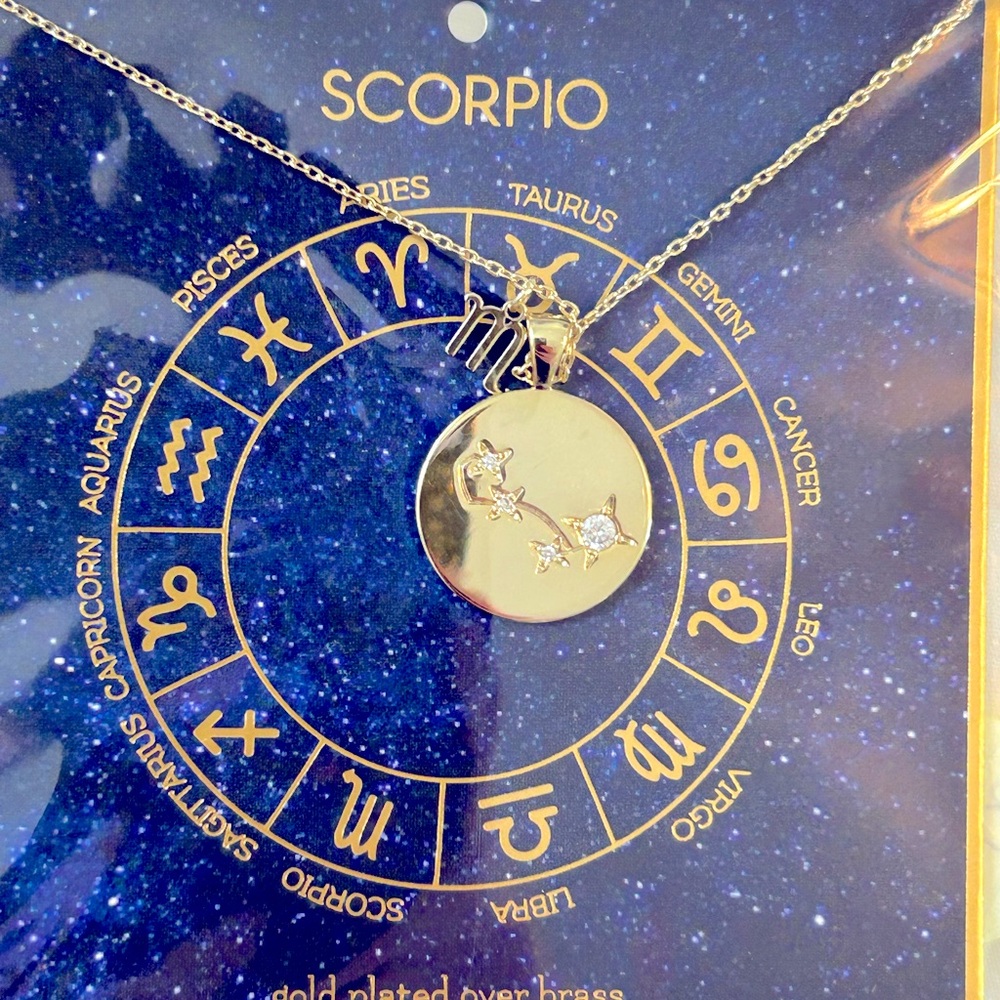 NWT Francesca’s Collection Scorpio Zodiac Etched Coin Cubic Zirconia Necklace